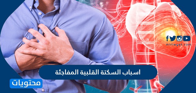 أسباب السكتة القلبية المفاجئة عوامل خطر النوبات القلبية موقع محتويات