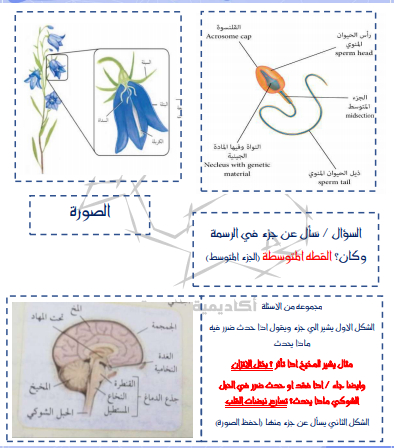 تجميعات تحصيلي 1442 ادبي علمي احياء فيزياء رياضيات كيمياء رياضيات موقع محتويات