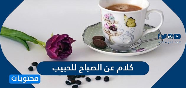 كلام عن الصباح للحبيب أجمل وأحلى كلام عن صباح موقع محتويات