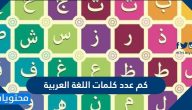 كم عدد كلمات اللغة العربية .. مقارنة بين عدد كلمات اللغة العربية واللغات الأخرى