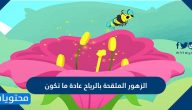 الزهور الملقحة بالرياح عادة ما تكون