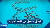 أجمل ما قيل عن اللغة العربية … قصائد عن اللغة العربية