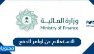 الاستعلام عن أوامر الدفع وزارة المالية السعودية