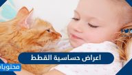 اعراض حساسية القطط .. ما هي حساسية القطط وأسبابها ومضاعفاتها