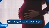 اعراض موت الجنين في بطن امه .. الفرق بين الإجهاض وموت الجنين