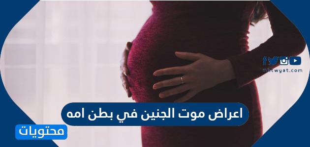 اعراض موت الجنين في بطن امه .. الفرق بين الإجهاض وموت الجنين