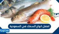افضل انواع السمك في السعودية والخليج العربي