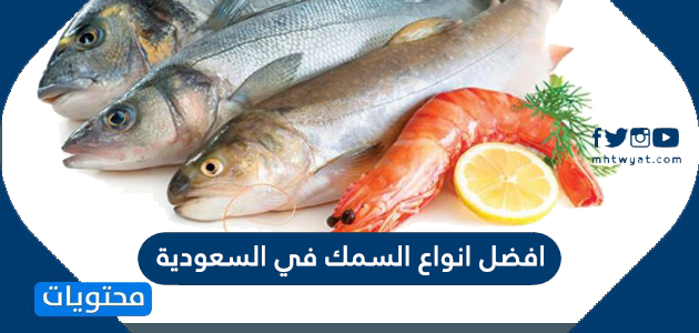 افضل انواع السمك في السعودية والخليج العربي