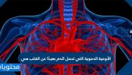 الأوعية الدموية التي تحمل الدم بعيدًا عن القلب هي