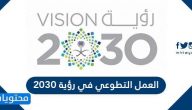 العمل التطوعي في رؤية 2030