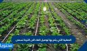 العملية التي يتم بها توصيل الماء الى التربة تسمى