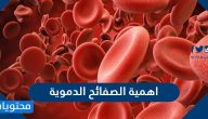 اهمية الصفائح الدموية .. الاضطرابات الناجمة عن ضعف وظيفة الصفائح الدموية