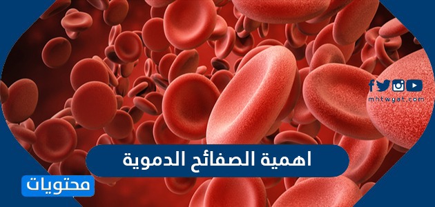 اهمية الصفائح الدموية .. الاضطرابات الناجمة عن ضعف وظيفة الصفائح الدموية