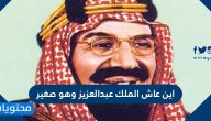 اين عاش الملك عبدالعزيز وهو صغير