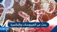 بحث عن الفيروسات والبكتيريا واضراها