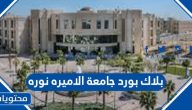 بلاك بورد جامعة الاميره نوره lms.pnu.edu.sa تسجيل دخول المستخدم