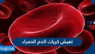 اين تعيش كريات الدم الحمراء