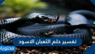 تفسير حلم الثعبان الاسود للمتزوجة والحامل والعزباء والمطلقة