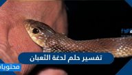 تفسير حلم لدغة الثعبان لابن سيرين وابن شاهين والنابلسي
