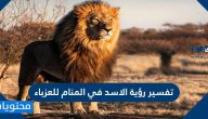 تفسير رؤية الاسد في المنام للعزباء