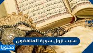 سبب نزول سورة المنافقون وسبب تسميتها وفضلها وأهميتها