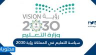 سياسة التعليم في المملكة رؤية 2030