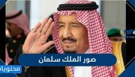 صور الملك سلمان بن عبدالعزيز ال سعود png دقة عالية