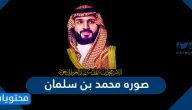 صوره محمد بن سلمان .. خلفيات محمد بن سلمان بجودة عالية