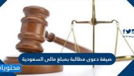 صيغة دعوى مطالبة بمبلغ مالى السعودية