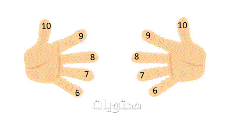 جدول الضرب كامل من 1 الى 12 بالعربي جاهز للطباعة