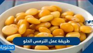 طريقة عمل الترمس الحلو بالكرفس والبابريكا وبالطريقة الهندية