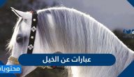 عبارات عن الخيل جميلة ومميزة .. شعر عن ميزات الخيل العربي الاصيل