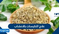 علاج التكيسات بالاعشاب .. أعراض متلازمة تكيس المبايض