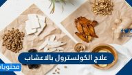 علاج الكولسترول بالاعشاب وأقوى 6 أعشاب للتحكم في الكولسترول