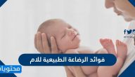 فوائد الرضاعة الطبيعية للام … وأهمية الرضاعة الطبيعية للطفل