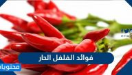 فوائد الفلفل الحار للتنحيف وللقلب والشعر