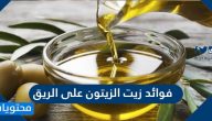 فوائد زيت الزيتون على الريق .. القيمة الغذائية لزيت الزيتون