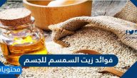فوائد زيت السمسم للجسم …  فوائد زيت السمسم للصحة والبشرة والشعر