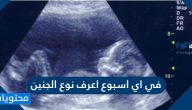 في اي اسبوع اعرف نوع الجنين .. طرق تحديد نوع الجنين