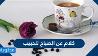 كلام عن الصباح للحبيب .. أجمل وأحلى كلام عن صباح