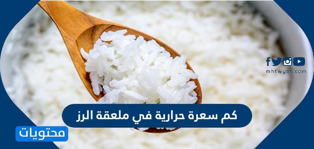 كم سعرة حرارية في ملعقة الرز .. فوائد الأرز للجسم