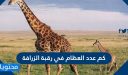 كم عدد العظام في رقبة الزرافة