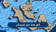 كم عدد جزر فرسان … أهم المعلومات عن جزيرة فرسان الكبرى