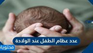 كم عدد عظام الطفل عند الولادة