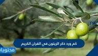 كم ورد ذكر الزيتون في القران الكريم ؟