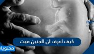 كيف اعرف ان الجنين ميت .. اسباب موت الجنين في الرحم