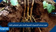 كيف تساعد الشعيرات الجذرية النبات على امتصاص الماء