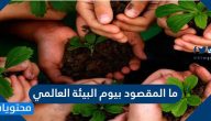 ما المقصود بيوم البيئة العالمي .. متى يوم البيئة العالمي