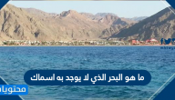 ما هو البحر الذي لا يوجد به اسماك