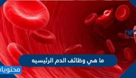 ما هي وظائف الدم الرئيسيه .. مكونات الدم ووظائفها وخصائصه